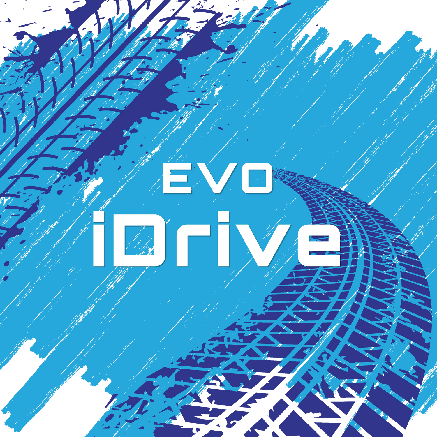 BMW EVO IDRIVE CODING FILES
